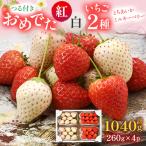 ふるさと納税 鹿沼市 おめでた紅白いちご2種各260g×2パック(1月中旬〜1月下旬発送)