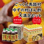 ごっくん ゆずの村ぽん酢 大満足セット 調味料