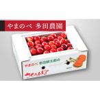 ふるさと納税 山辺町 《先行受付》2026年 山形県産 紅さやか バラ詰(パック) 500g