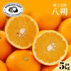 八朔 5kg