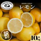 訳あり 愛媛レモン10kg 防腐剤 ワックス不使用