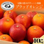 五代目が厳選した清見 10kg