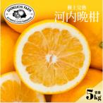 河内晩柑 5kg
