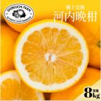 河内晩柑 8kg
