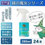 新製品 2024年春頃発売 部分洗い洗剤