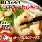 ふるさと納税 近江八幡市 希少近江牛ホルモン&ミックスホルモン 合計1.9kg もつ鍋や焼肉にも