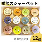 土里夢季節のシャーベット 12個セット