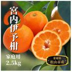 約2.5kg