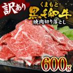 ふるさと納税 八代市 【訳あり】くまもと黒毛和牛 焼肉 切り落とし 600g 熊本県産