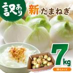 ふるさと納税 京丹後市 【訳あり】国産 新たまねぎ 7kg(約30〜40玉) 直売所直送わけあり玉ねぎ 不揃いですが新鮮