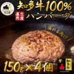 知多牛100%ハンバーグ 150g×4個