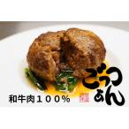 ごっつぁんシリーズ ハンバーグ