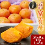 ふるさと納税 橋本市 【先行予約】匠果樹園 富有柿【秀品】白紫箱 MまたはLサイズ【令和7年11月より順次発送】