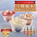 ふるさと納税 帯広市 十勝橋本牧場プレミアムソフト12個