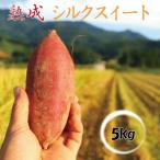 栽培期間中 農薬 化学肥料不使用 熟成 シルクスイート 5kg