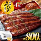 ふるさと納税 日向市 宮崎県日向市産　鰻楽ハーブうなぎ蒲焼4尾(計800g)