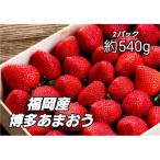 発送 博多あまおう 約270g×2