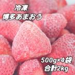 いちご 博多 冷凍あまおう 約500g×4袋