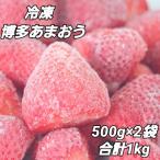 いちご 博多 冷凍あまおう 約500g×2袋