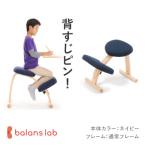 バランス イージー 通常フレーム バランスチェア