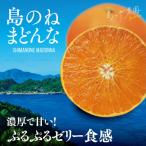 先行受付 島のねまどんな 4kg