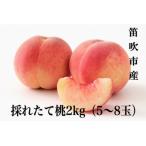 ふるさと納税 笛吹市 【2025年先行受付】笛吹市産 採れたて桃2kg(5〜8玉)