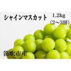 ショッピングふるさと納税 シャインマスカット ふるさと納税 笛吹市 【2026年先行受付】笛吹市産 やみつきシャインマスカット1.2kg(2〜3房)