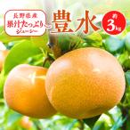 ふるさと納税 南箕輪村 2025年秋!信州の梨【豊水】約3kg 果汁たっぷりジューシーな梨!