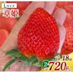 ショッピングふるさと納税 いちご ふるさと納税 西尾市 Lサイズいちご(章姫)　360g以上(7〜9粒)×2箱 ・O044-21