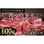 ショッピングふるさと納税 肉 ふるさと納税 大月市 【大月のびの放牧羊】ラム肉ジンギスカン　600g(200g×3パック)