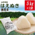 ふるさと納税 新庄市 令和6年産山形県産はえぬき 無洗米(精米) 5kg