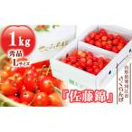 ふるさと納税 寒河江市 【先行受付】さくらんぼ「佐藤錦」1kg(500g×2)秀品 【2025年6月上旬〜下旬発送予定】