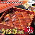 1年間定期便 三河一色産 備長炭手焼き 昭和9年創業