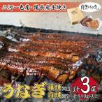 1年間定期便 三河一色産 備長炭手焼き 昭和9年創業