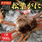 特撰 松葉がに 生 900g1杯 N4_I