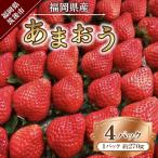 あまおう 合計約1 080g