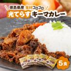 産食材ゴロゴロキーマカレー 10食入り