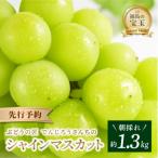 ふるさと納税 田村市 【先行受付・2025年10月より順次発送予定】でんじろうさんちの シャインマスカット約1.3kg