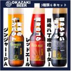 ジンジャーIPA レッドエール 岡崎八丁味噌ポーター