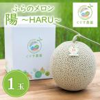 ふるさと納税 富良野市 【2026年発送】ふらのメロン「陽 〜HARU〜」大玉(2.3kg以上)×1玉 (赤肉)富良野メロン
