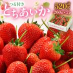 ふるさと納税 鹿沼市 つる付きとちあいか260g×2パック(3月〜5月順次発送)