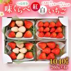 ふるさと納税 鹿沼市 味くらべ紅白いちごセット合計4パック(3月〜5月順次発送)