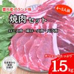 豊川産豚肉 とよかわみー豚 焼肉セット