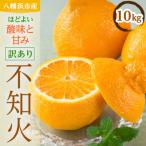 八幡浜産 不知火10kg YWTAS030