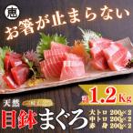 天然目鉢まぐろ 1.2kg