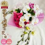 ラン4本とバラ40本の花束 に最適