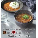 梵天冷凍カレールーセット