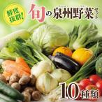 新鮮 野菜セット 詰め合わせ 10種類 旬 お試し