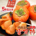 果物類 柿 一度は食べたい香川産の完熟富有柿の詰め合わせ…
