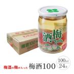 梅酒100 100ml×24本